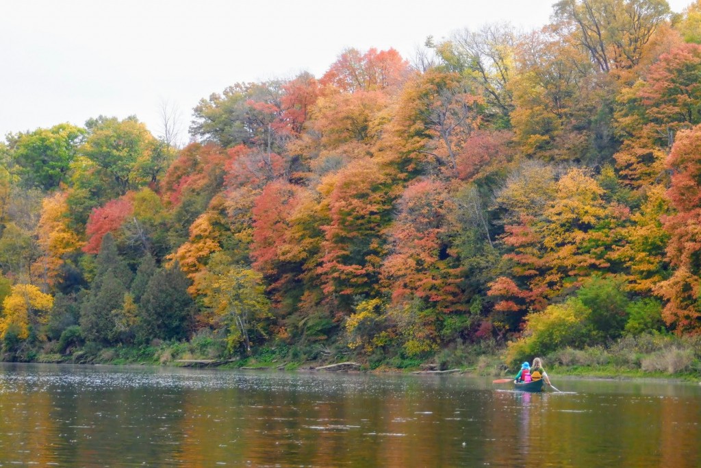 Two people paddling in a watercraft down a river with changing leaves on trees along the shoreline.  