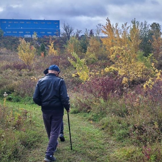 A person walking on a trail in Brantford's New Forest in the City.