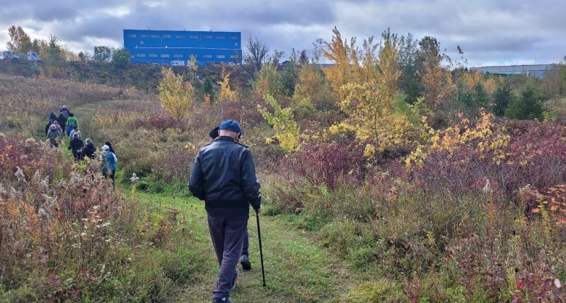 A person walking on a trail in Brantford's New Forest in the City.