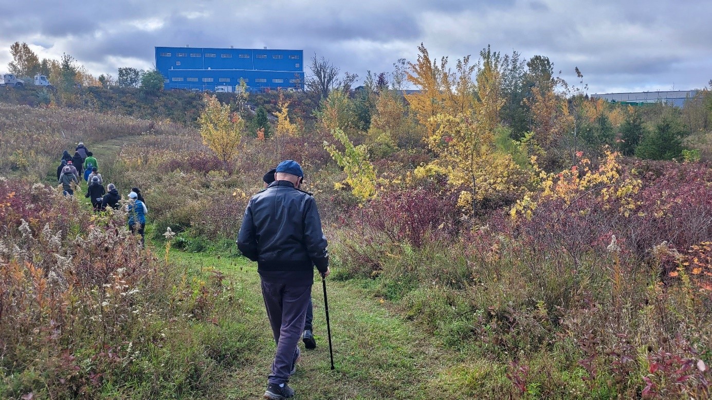 A person walking on a trail in Brantford's New Forest in the City.