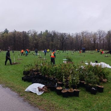 A landscpae picture of the field area of a Brant Tree Coalition planting event.