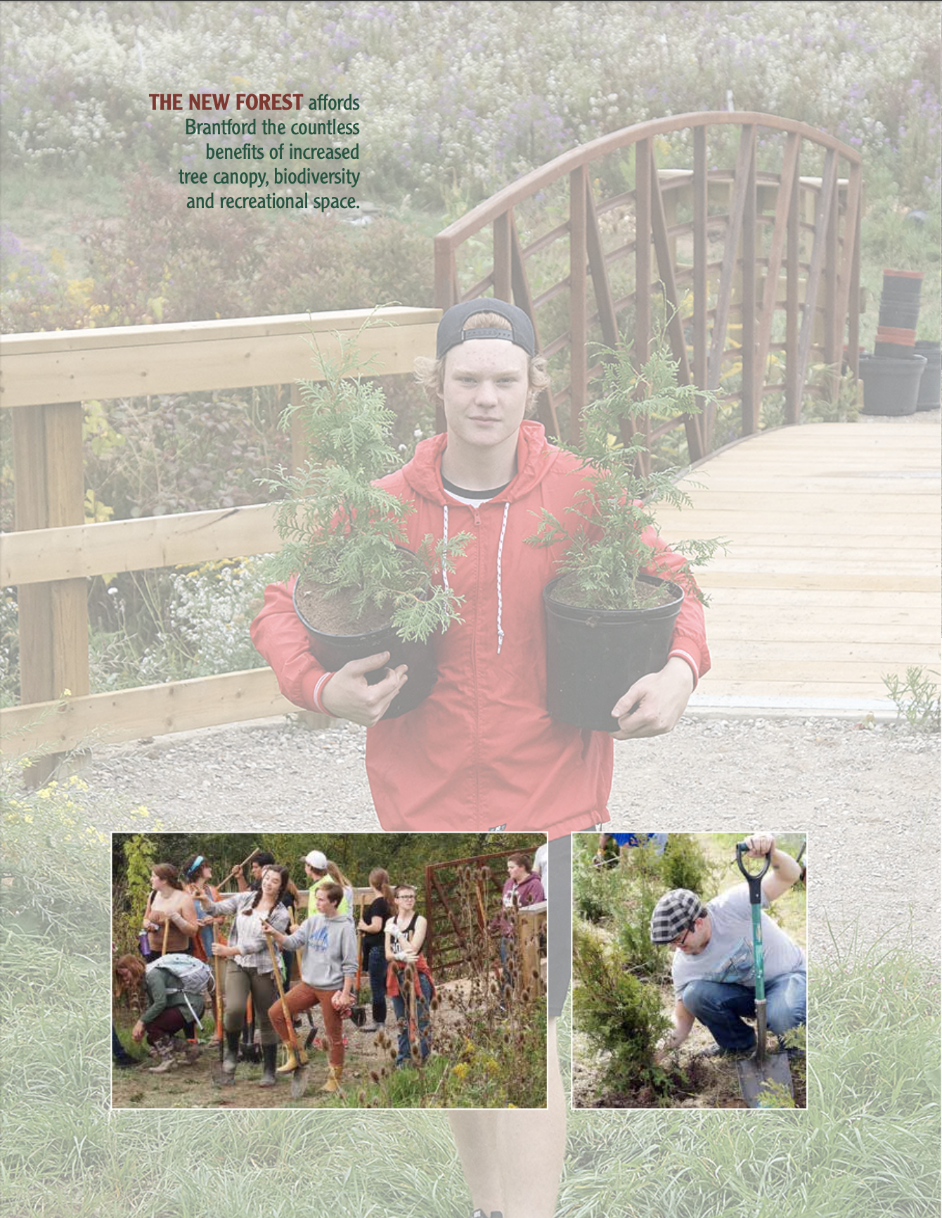 Cover Page